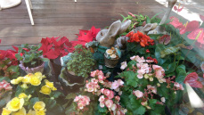 IMAG0231[1]
