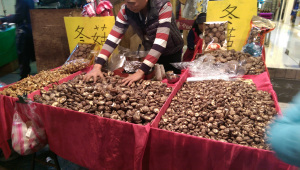 IMAG0247[1]