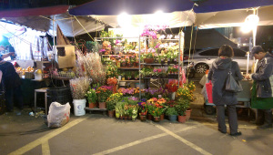 IMAG0251[1]