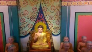 IMAG0587