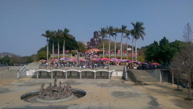 IMAG0622