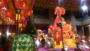 IMAG0672